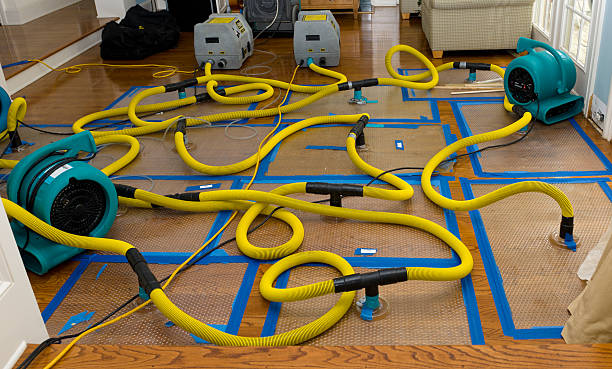 Professional Burst Pipe Water Damage technician working in Chester, WV