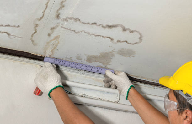 Affordable Water Damage Repair solutions in Chester, WV